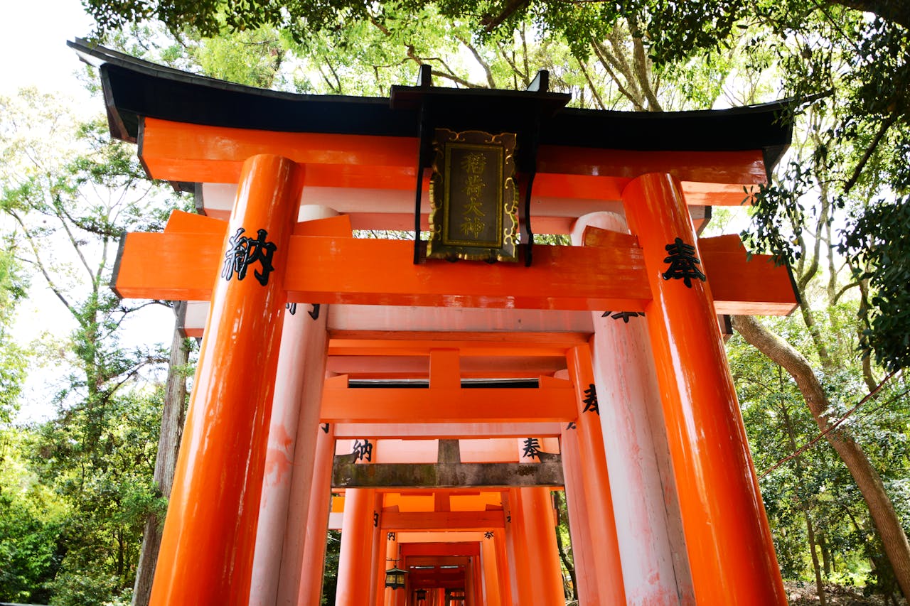 gallery-1 Bright orange torii gates surrounded by lush greenery at a Japanese shrine.